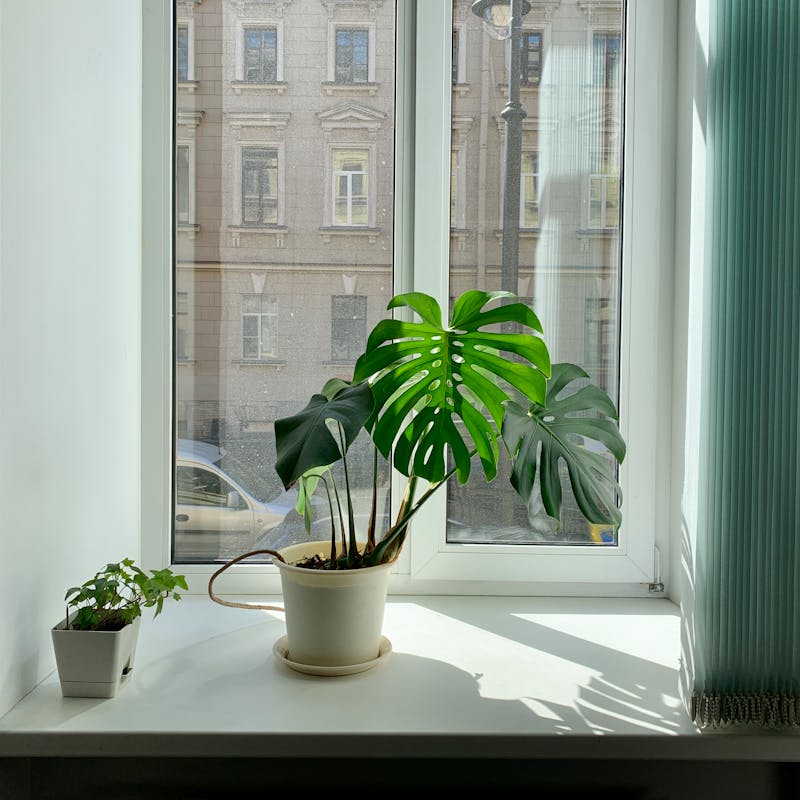 Fresh, clean indoor air at home